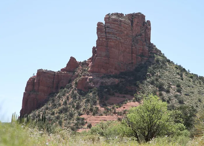 Red Agave 3*